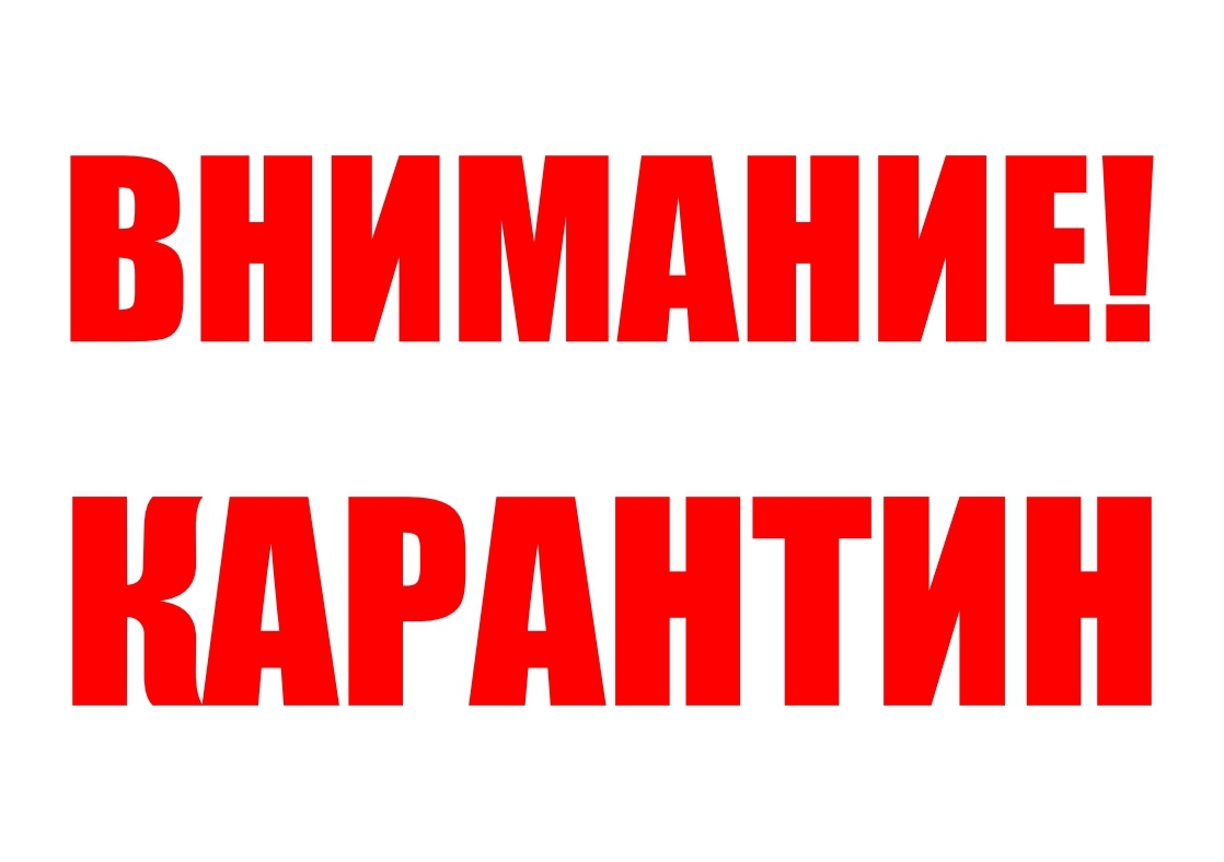 В столице Камчатки введен карантин по факту заболевания сельскохозяйственных животных